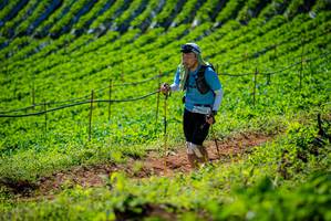 BIB: 
                            <button type="button" onclick="openModal(19162156)" class="btn btn-primary btn-sm float-right btn-popup" data-toggle="modal" data-target=".modal-high-quality">
                        <i class="fas fa-shopping-cart"></i> Add to Cart
                    </button>
                                            <button type="button" onclick="isThisMe(19162156, true)" class="btn btn-success btn-sm float-right btn-popup btn-isme hidden" data-toggle="tooltip" data-placement="bottom" title="นี่คือรูปของคุณใช่ไหม คลิกที่นี่เพื่อเอาเข้าอัลบั้ม">
                        <i class="fas fa-plus"></i> Add to album
                    </button>
                    <button type="button" onclick="isThisMe(19162156, false)" class="btn btn-warning btn-sm float-right btn-popup btn-isnotme hidden">
                        <i class="fas fa-ban"></i> Remove from album
                    </button>